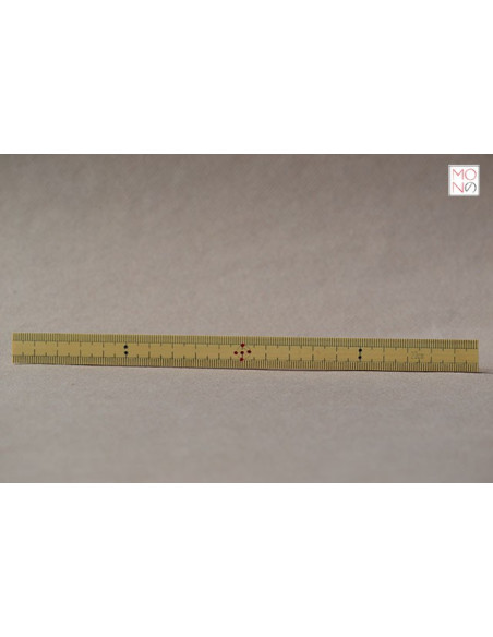 Righello in bambù 20 cm