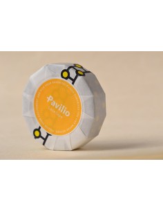 Pavilio medaka yellow