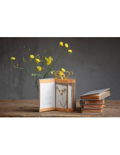 botanical bacello book