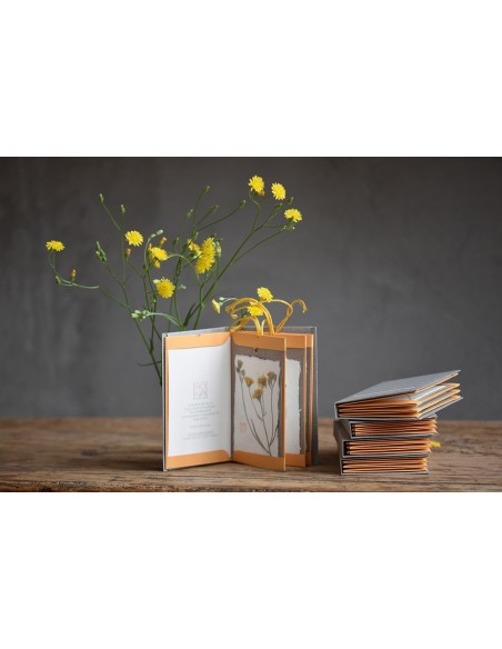 botanical bacello book