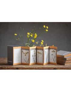 botanical bacello book 2