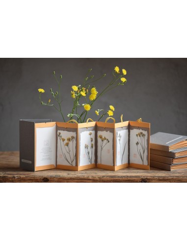 botanical bacello book