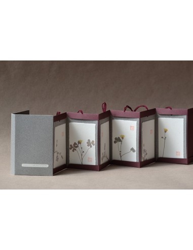 erbario herbarium herbier