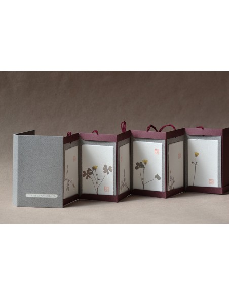 erbario herbarium herbier