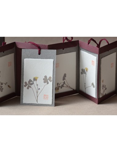 erbario herbarium herbier