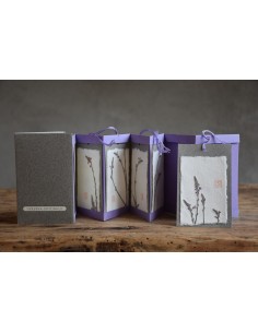 Bacello Book - Verbena