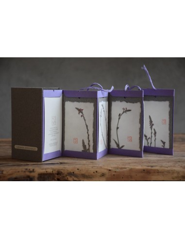 Bacello Book - Verbena