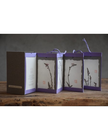 Bacello Book - Verbena