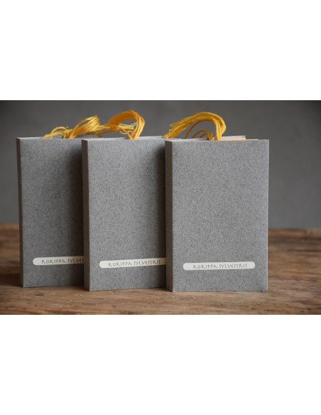 Bacello Book - Rorippa