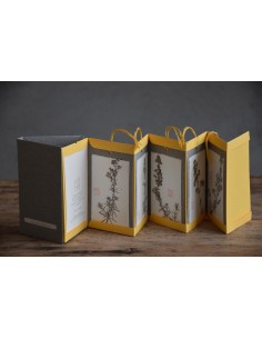 Bacello Book - Gallium verum