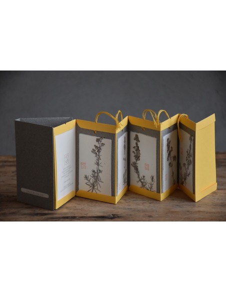 Bacello Book - Gallium verum