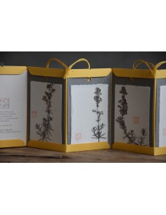 Bacello Book - Gallium verum 2