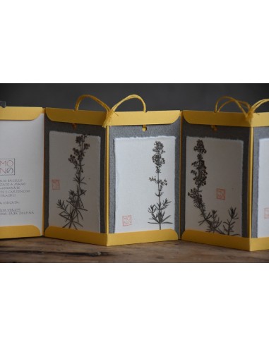 Bacello Book - Gallium verum