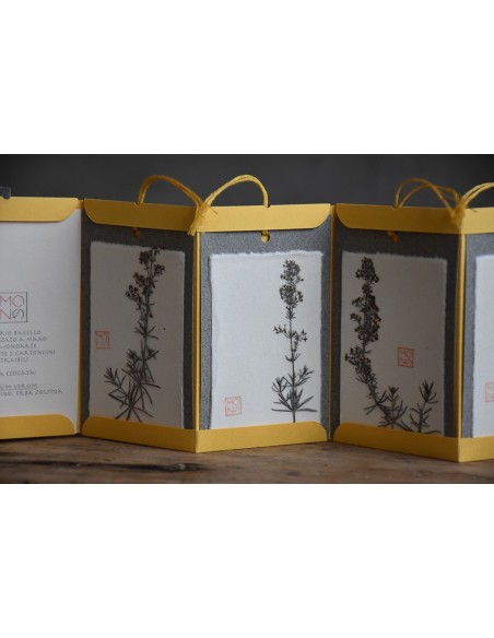 Bacello Book - Gallium verum