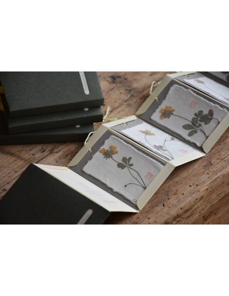 Bacello book - Potentilla