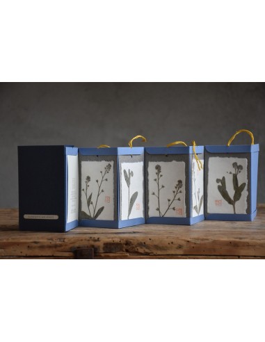 Bacello Book - Myosotis