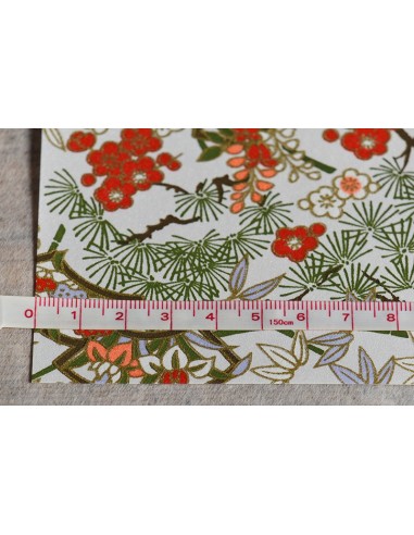 Chiyogami 186 Shochikubai