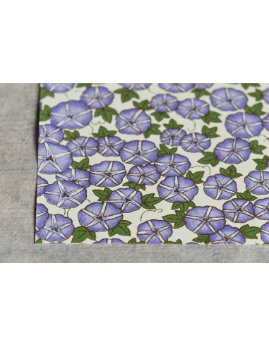 Chiyogami 190 Asagao