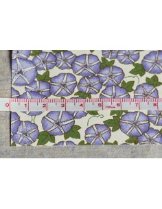 Chiyogami 190 Asagao 2