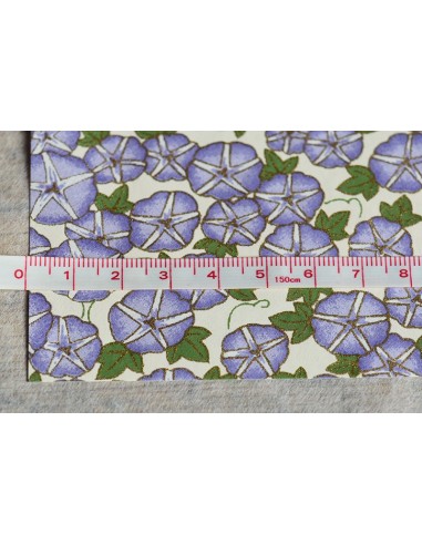 Chiyogami 190 Asagao