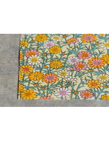 Chiyogami 191 Nonohana