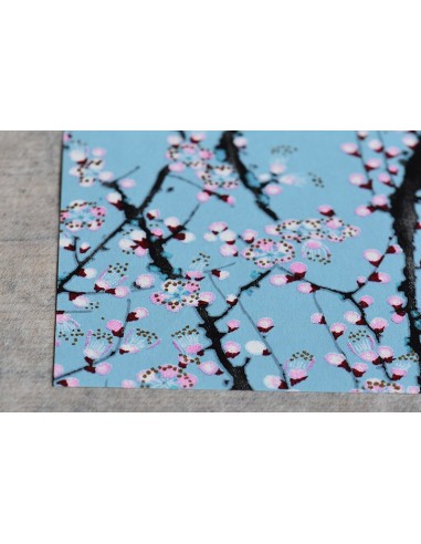 Chiyogami 206 Hakubai