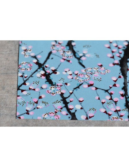 Chiyogami 206 Hakubai