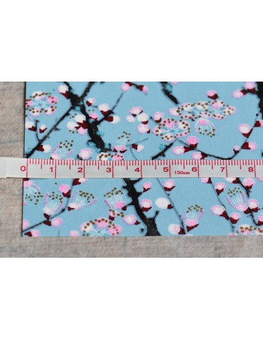 Chiyogami 206 Hakubai