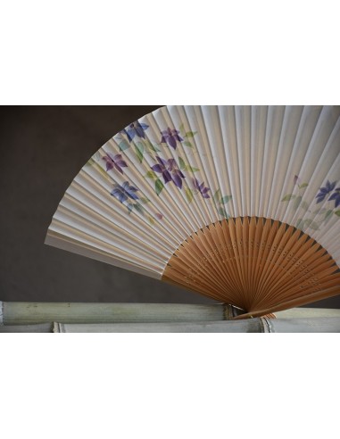 Ventaglio Sensu Clematide
