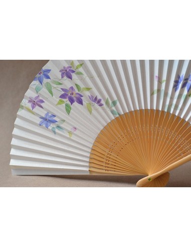 Ventaglio Sensu Clematide