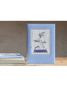 Ikebana note aoiiro bambù