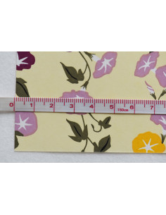 Chiyogami 263 Asagao 2