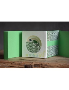 Tunnel Book Pecora nera