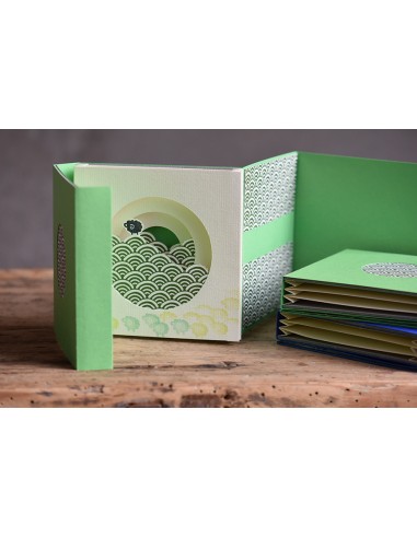 Tunnel Book Pecora nera