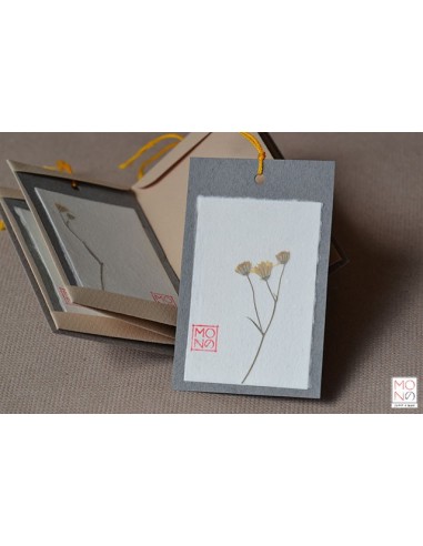 botanical bacello book