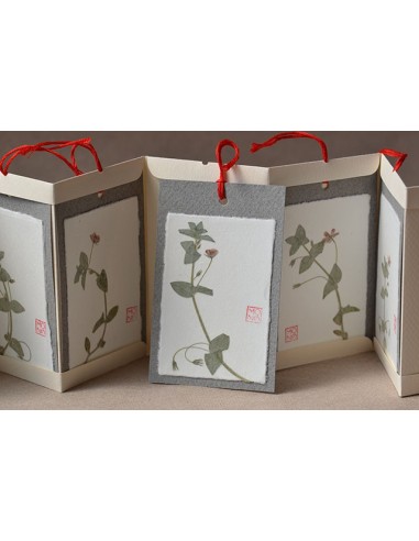 botanical bacello book