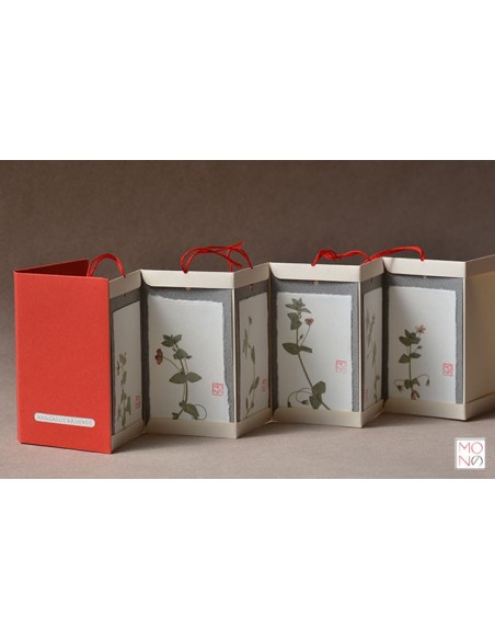 botanical bacello book