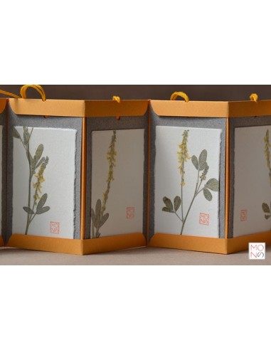 botanical bsacello book