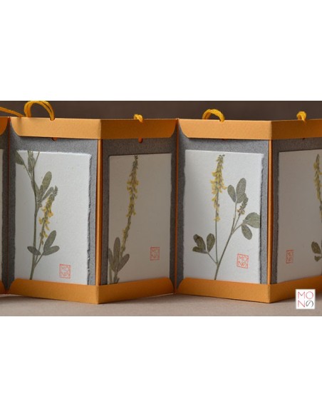 botanical bsacello book