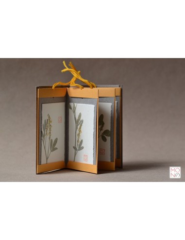 botanical bsacello book