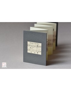 concertina clip allegro con brio 2