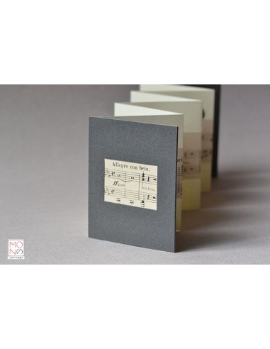 concertina clip allegro con brio