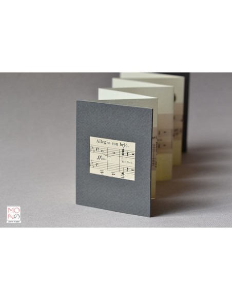 concertina clip allegro con brio