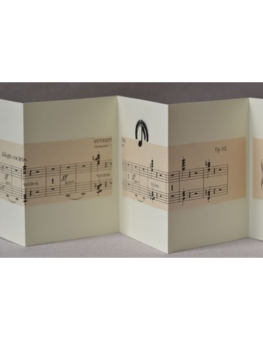 concertina clip allegro con brio