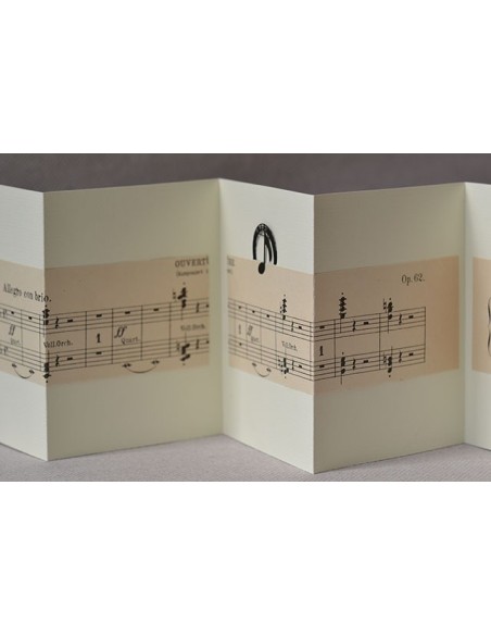 concertina clip allegro con brio