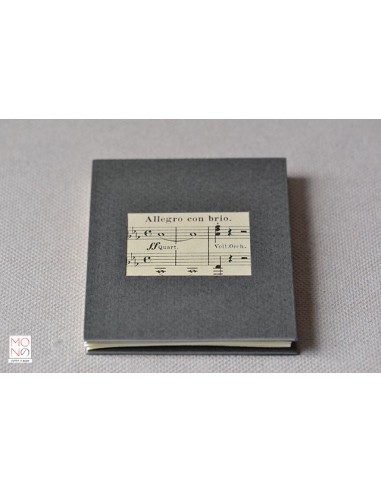 concertina clip allegro con brio