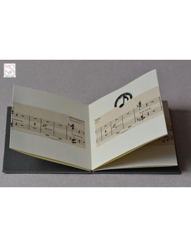 concertina clip allegro con brio