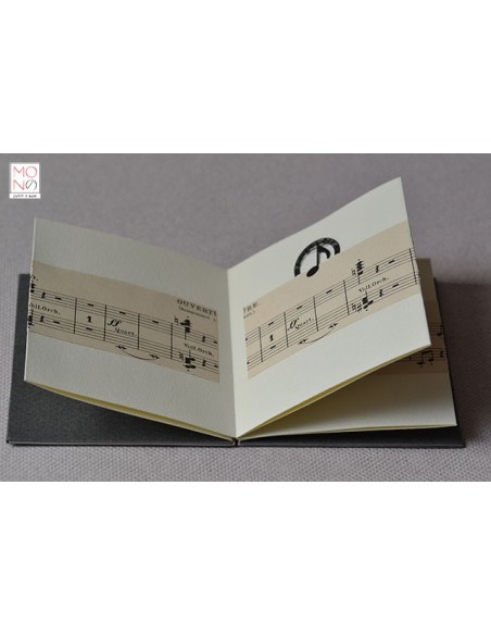 concertina clip allegro con brio