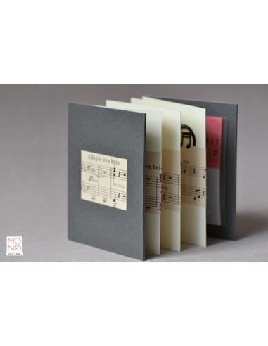 concertina clip allegro con brio