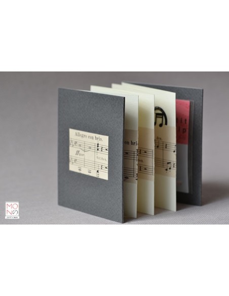 concertina clip allegro con brio